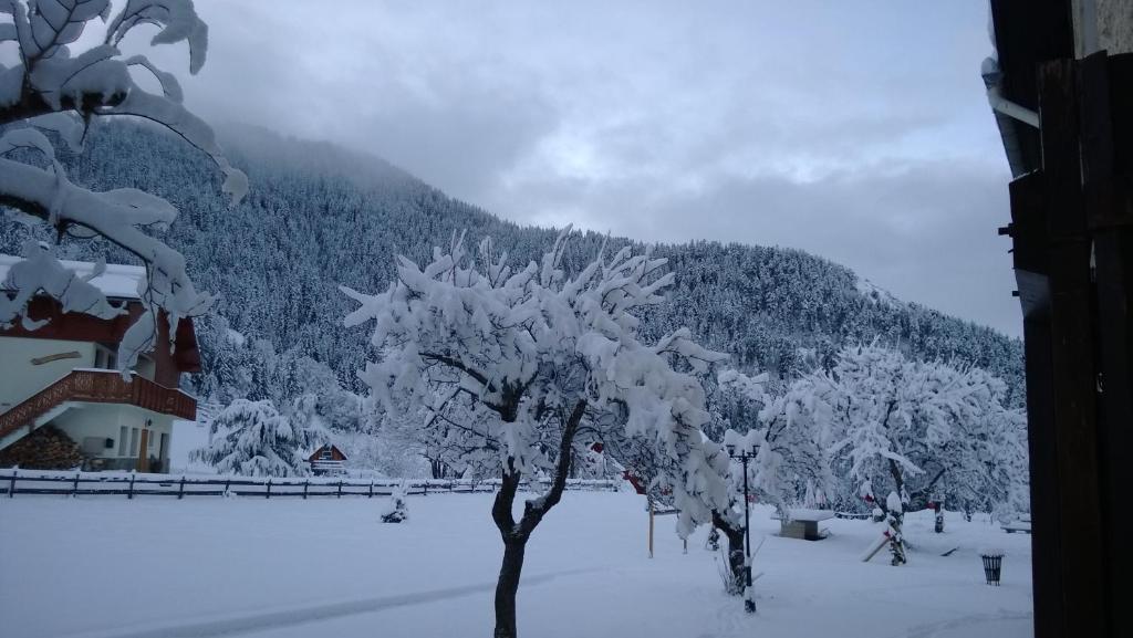 La Foret De Maronne La Garde  Εξωτερικό φωτογραφία