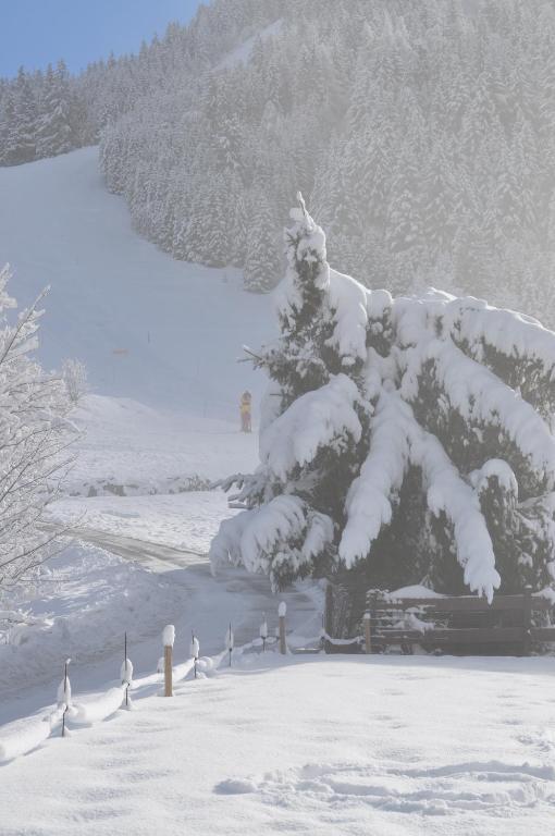 La Foret De Maronne La Garde  Εξωτερικό φωτογραφία